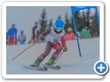 Biosphären-Skirennen-5220 -03-01-15
