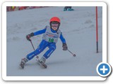 Biosphären-Skirennen-5672 -03-01-15